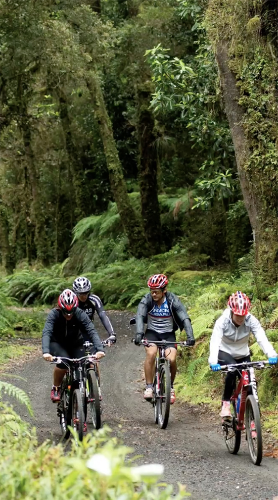 Bicicleta Lago Ranco