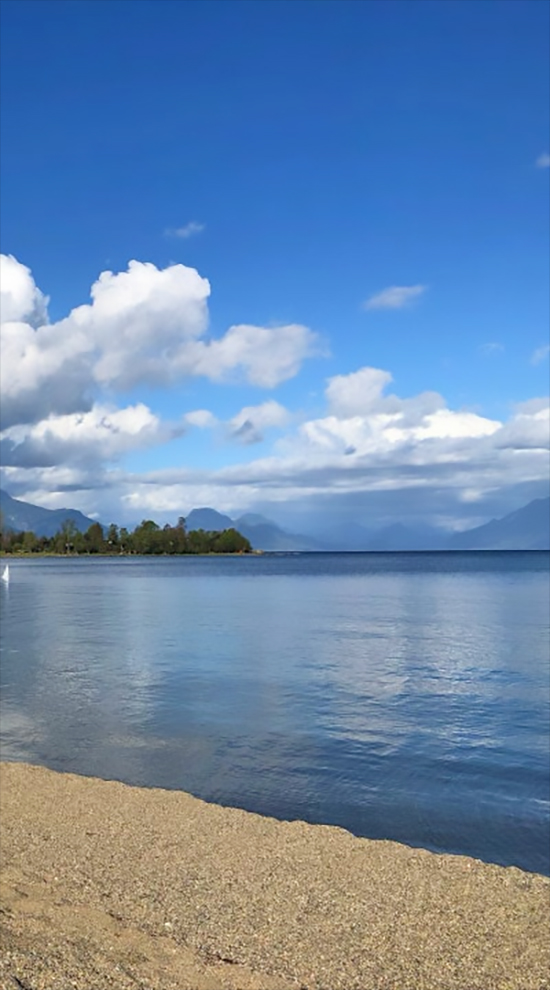 playa Coique Lago Ranco